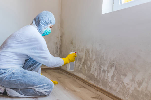 Licensed Commercial Mold Remediation service in North Carolina, NC - WQB Mold Removal
