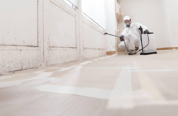 24/7 Emergency Commercial Mold Remediation experts in North Carolina, NC