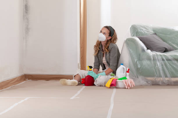 Reliable Commercial Mold Remediation contractor in North Carolina, NC by WQB Mold Removal